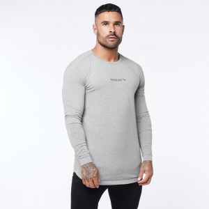 Vanquish Fitness Core Grey Long Sleeved T Shirt Grey | ADJS40961