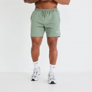 Vanquish Fitness Essential Green Regular Fit Shorts Green | BPTF25318