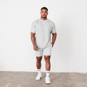 Vanquish Fitness Essential Grey Oversized T Shirt Light Grey | TDRZ06593