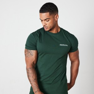 Vanquish Fitness Green Athletics Division Fitted T Shirt Green | JULC93751