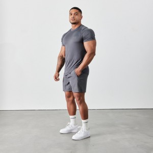 Vanquish Fitness Utility V2 Grey 5" Shorts Grey | DIQB76021