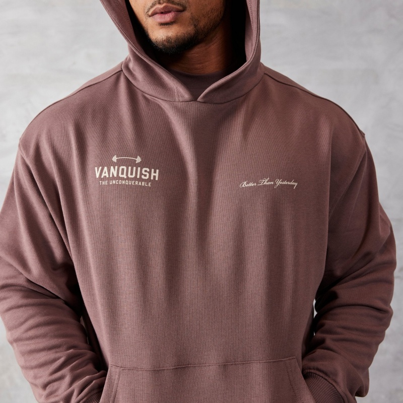 Vanquish Fitness Brown Unconquerable Oversized Pullover Hoodie Brown | LYZS84369