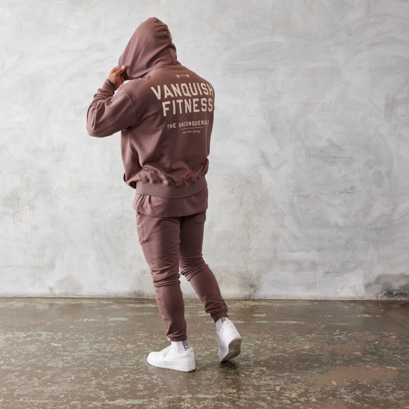 Vanquish Fitness Brown Unconquerable Oversized Pullover Hoodie Brown | LYZS84369