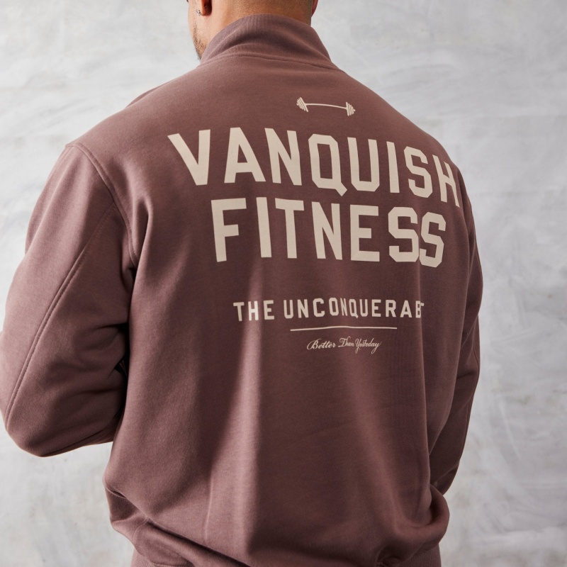 Vanquish Fitness Brown Unconquerable Quarter Zip Sweater Brown | VUWA25069