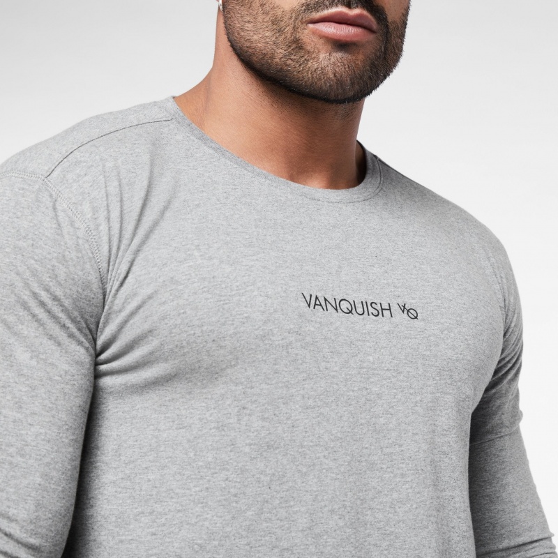 Vanquish Fitness Core Grey Long Sleeved T Shirt Grey | ADJS40961