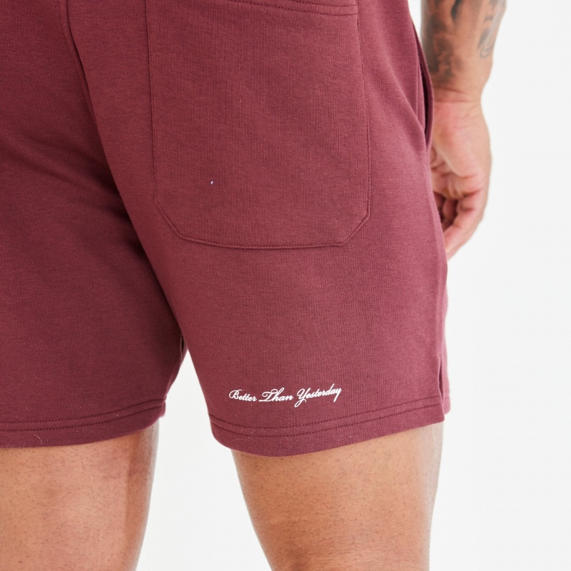 Vanquish Fitness Dark Burgundy Varsity Shorts Dark Burgundy | GHUE36142