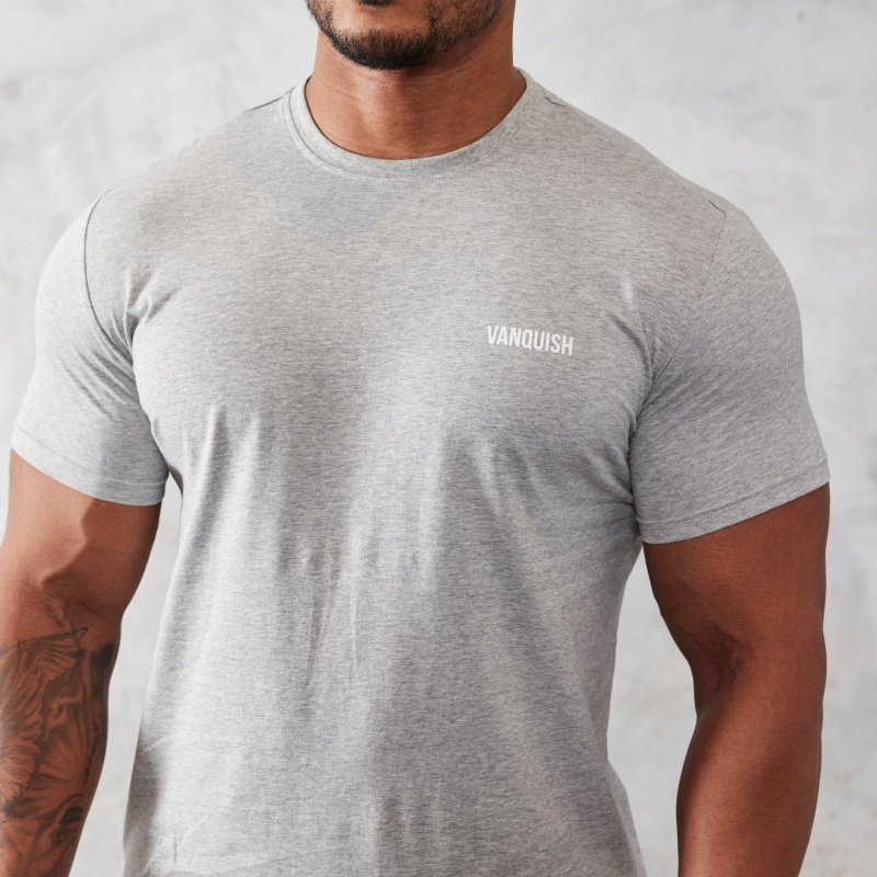 Vanquish Fitness Essential Grey Slim Fit Short Sleeve T Shirt Light Grey | KIAN56703