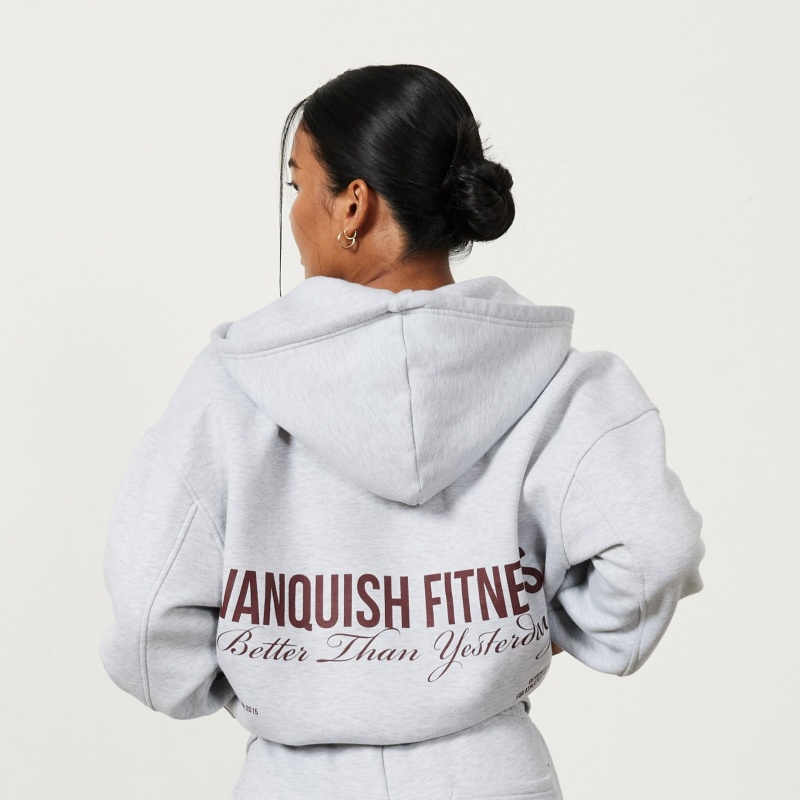 Vanquish Fitness Oat Marl Rejuvenate Full Zip Oversized Hoodie Oat Marl | FUQK54132