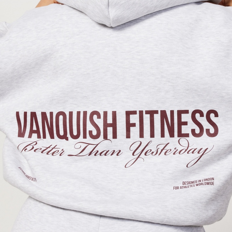 Vanquish Fitness Oat Marl Rejuvenate Full Zip Oversized Hoodie Oat Marl | FUQK54132