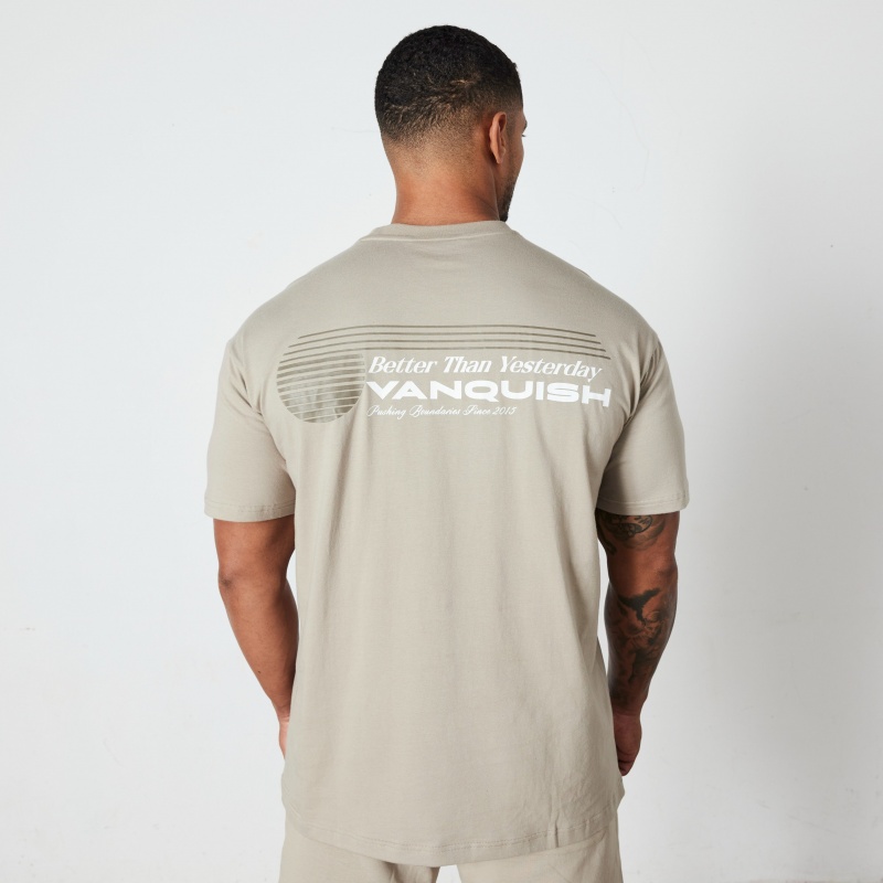 Vanquish Fitness Stone Athletics Division Oversized T Shirt Stone | RYHC37290