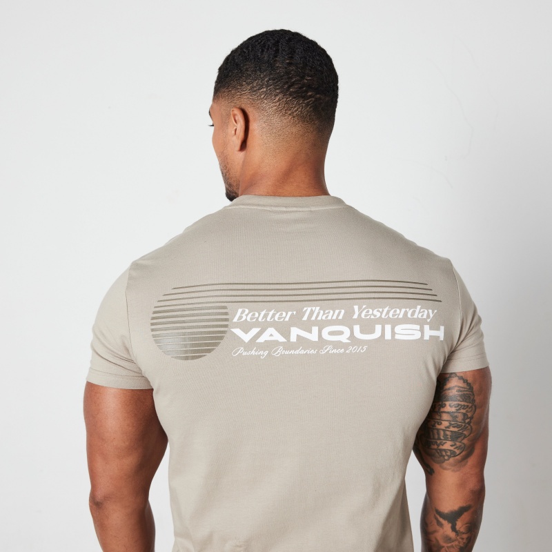 Vanquish Fitness Stone Athletics Division Fitted T Shirt Stone | FQOZ01342