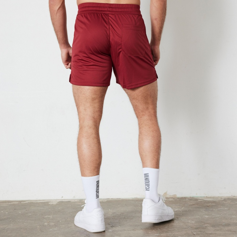 Vanquish Fitness TSP Deep Red Mesh Shorts Deep Red | TRSG26431