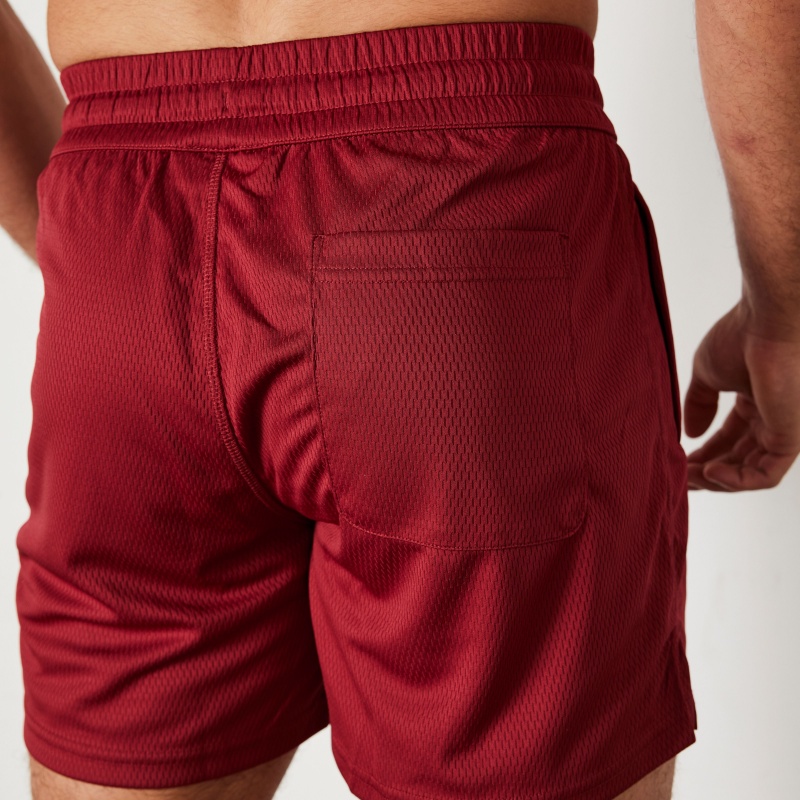 Vanquish Fitness TSP Deep Red Mesh Shorts Deep Red | TRSG26431