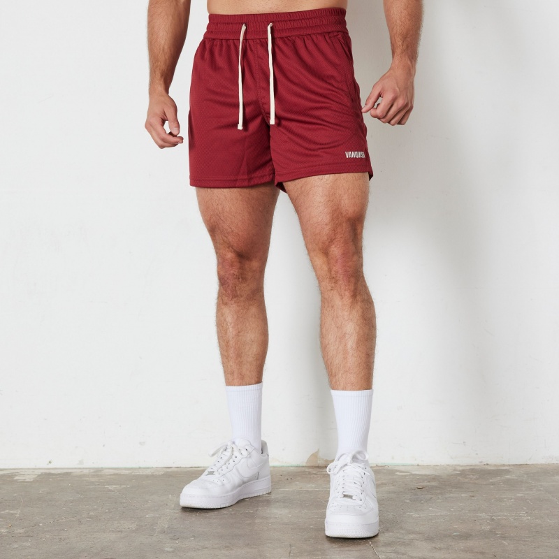 Vanquish Fitness TSP Deep Red Mesh Shorts Deep Red | TRSG26431