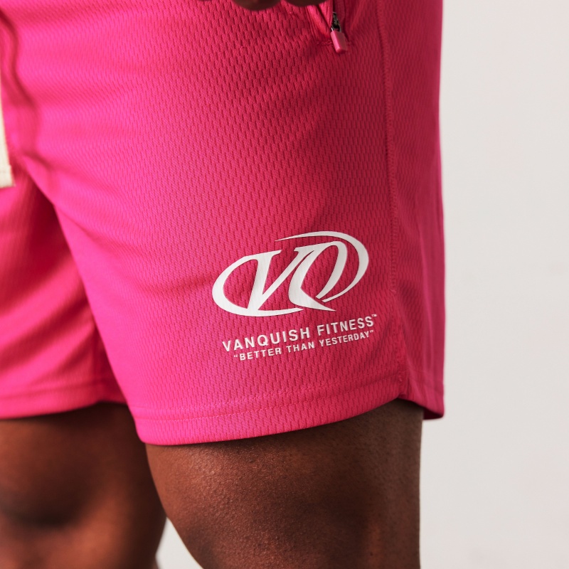 Vanquish Fitness TSP Hot Pink Racing Mesh Shorts Hot Pink | UDQZ98306