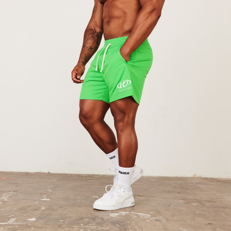 Vanquish Fitness TSP Neon Green Racing Mesh Shorts Neon Green | NHBU05137