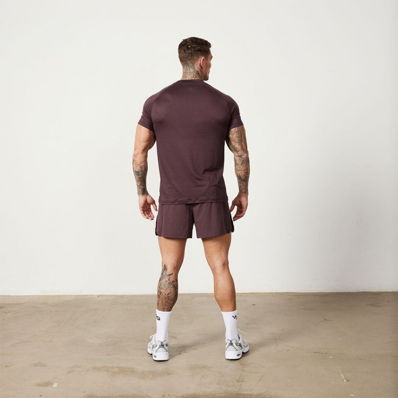 Vanquish Fitness Utility Plum T Shirt Plum | BDRI53847