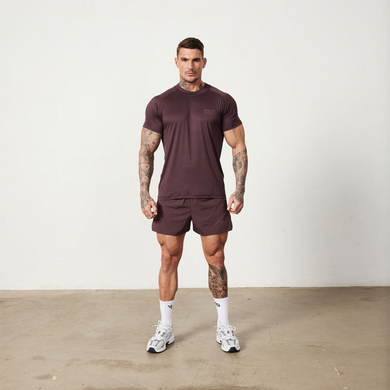 Vanquish Fitness Utility Plum T Shirt Plum | BDRI53847