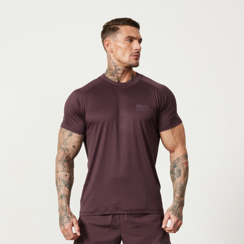 Vanquish Fitness Utility Plum T Shirt Plum | BDRI53847