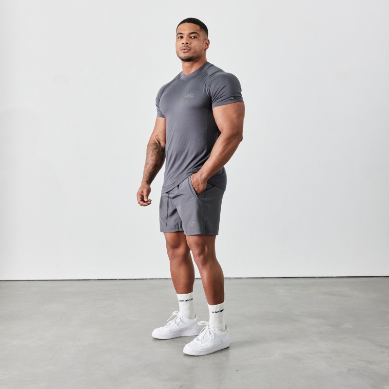 Vanquish Fitness Utility V2 Grey 5\